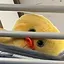 ♡のプロフィール画像