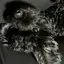 AKRのプロフィール画像