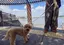 ひーちゃんのプロフィール画像