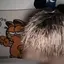 輝のプロフィール画像