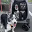 ゆーのプロフィール画像
