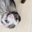 くーちゃんのプロフィール画像