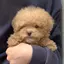みずのプロフィール画像