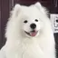 なむのプロフィール画像