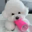 じすちゃんのプロフィール画像