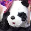 りーのプロフィール画像