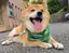 風香のプロフィール画像