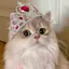 ゆあのプロフィール画像