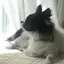Aykのプロフィール画像