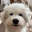 るんのプロフィール画像