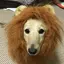 いっちぃのプロフィール画像