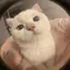 さのプロフィール画像