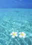 ゆきのプロフィール画像
