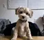 そらのプロフィール画像