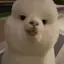 あゆみのプロフィール画像