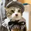 きーちゃんのプロフィール画像
