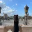 真白のプロフィール画像