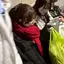 あんじゅのプロフィール画像