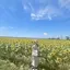 シオリのプロフィール画像