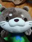 Kawausoのプロフィール画像