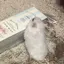 Rのプロフィール画像