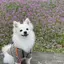 凛のプロフィール画像
