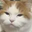 しんばのプロフィール画像
