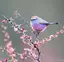 kayaのプロフィール画像
