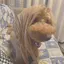 なつきのプロフィール画像
