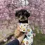 なるみのプロフィール画像