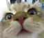 すみのプロフィール画像