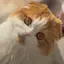 hのプロフィール画像