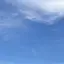 もちのプロフィール画像