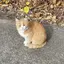 ゆかのプロフィール画像