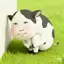 まおのプロフィール画像