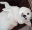 momoのプロフィール画像