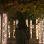 Mのプロフィール画像