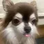 NANAのプロフィール画像