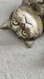くるみのプロフィール画像