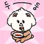 ミミのプロフィール画像