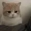 ayaのプロフィール画像
