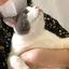 やすほんのプロフィール画像