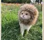あやみのプロフィール画像