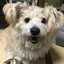 むぎむぎのプロフィール画像