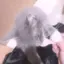 ぁちのプロフィール画像