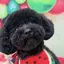 すだちのプロフィール画像
