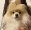 noaのプロフィール画像