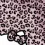 ねこねこのプロフィール画像