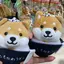 さっぴのプロフィール画像