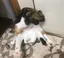翔太のプロフィール画像